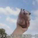 淡看云卷云舒的头像
