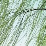 伴******