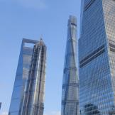 杨光
