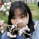 芳籽