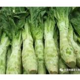 我是一坨菜