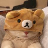 Fay