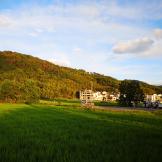 青阳逋客