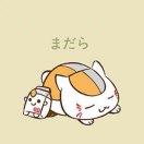 翔哥