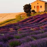 清戈暖玉的头像