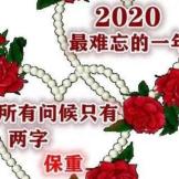 陌路炊烟的头像
