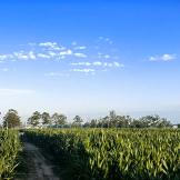 大地飞雪暮山舞