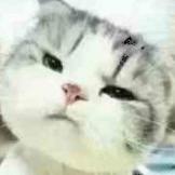 好人