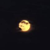 宇航员想登月