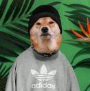 dxb22