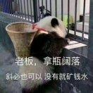 岁******