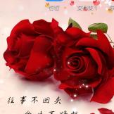 陌上花开的头像