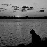 她和晚风皆过客