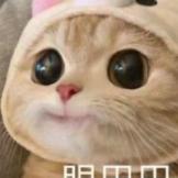 千******