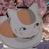 泊良