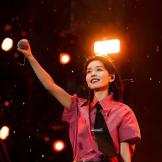 一道褶的肉包子