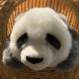 千金难买我乐意