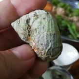 聪明伶俐