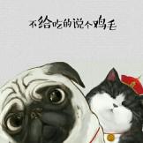 橙******