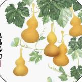 光明寂照遍河沙