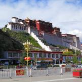祁连山的雄鹰