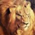 狮子王