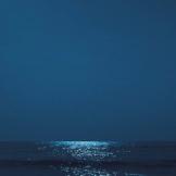 梦里丶花落知多少