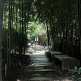 优优优优优