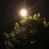 ꧁༺夜༒雨༻꧂