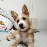 小邓加油锻炼
