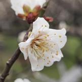 岁月如歌