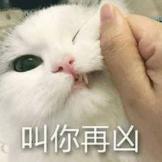 伟******