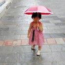 石头记